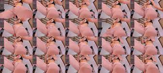 hilarybig69x ts 31-12-2021 trans blowjob - TsVideos