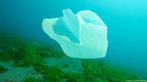 البلاستيك خطر دائم على الكائنات البحرية علوم وتكنولوجيا آخر الاكتشافات والدراسات من Dw عربية Dw 01 09 2015