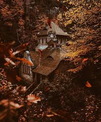Discovered By Rikki Lynn Find Images And Videos About Nature Autumn And Fall On We Heart It The App To Get Lost In Scenery Autumn Scenery Autumn Aesthetic