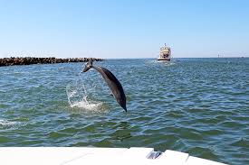 Maybe you would like to learn more about one of these? Naples Thanksgiving 2019 Sparkles And Shoes Blog