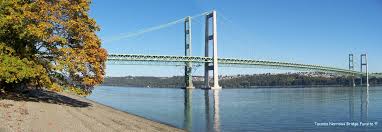 Pm Roolls Tacoma Narrows Bridge Research Paper Example