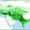 Haplogroup j1 is a branch on the maternal tree of human kind. Https Encrypted Tbn0 Gstatic Com Images Q Tbn And9gcqrvohgoshtg4n5pji2pxjhzfg9rql3 5jgkjustkiqpzmwcq3s Usqp Cau