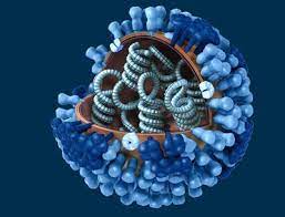 German tv feature about the bird flu virus and a model that predicts disease spreading over the aviation network. H6n1 Das Nachste Vogelgrippe Virus Neues Influenza Virus Zeigte Erste Mutationen Auf Dem Weg Zum Humanpathogen Scinexx De