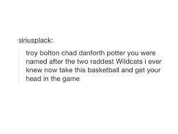 What Team Gryffindor What Team Troy Bolton Potter
