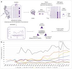 This guideline has been adapted for statewide use with the support of the victorian paediatric clinical network. Integrating Whole Genome Sequencing Within The National Antimicrobial Resistance Surveillance Program In The Philippines Nature Communications