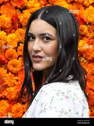 Julia jones hi-res stock photography and images