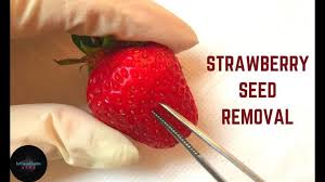 Satisfying Seed Removal From Ripe Strawberry Asmr Odstranjevanje Sem Oddly Satisfying Videos Autonomous Sensory Meridian Response Strawberry Seed