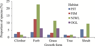 Image result for Hypertelis bowkeriana
