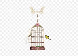 birdcage parrot png 591x591px bird basket birdcage cage parrot download free birdcage parrot png 591x591px bird