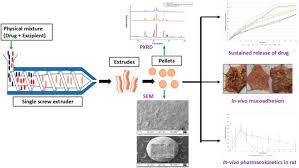 Image result for Chlorothiazide
