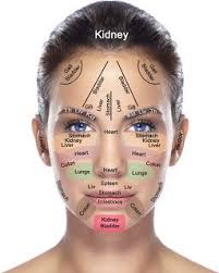 Reflexology Chart Of The Face For Acupressure Acupuncture