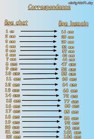 L Age Des Chats Compare A L Age Des Humains Mes Chats Caline Caramel Reglisse Tempete