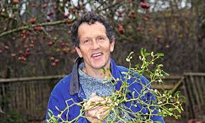 The plant contains oxalic acid, making it unappetizing to many animals and toxic to some. The Mistletoe Mystery It Sprouts Magically From The Branches Of Random Trees But Why Only Certain Species And How Does It Spread Monty Don Has The Answers Daily Mail Online