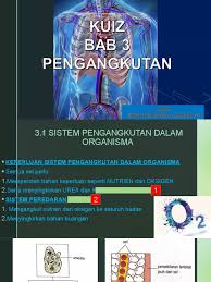 Sistem penjualan konsinyasi artinya adalah salah satu cara yang dilakukan oleh pelaku usaha untuk meningkatkan penjualan, baca terus! F3 Kuiz Bab 3 Ppt