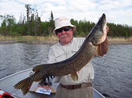 Check spelling or type a new query. Johnson Silver Minnow Walmart Com Walmart Com