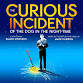 Curious Incident of the Dog in the Night-Time event image