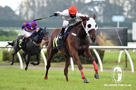 The warmest month in selangor is april with an average maximum temperature of 33°c (91°f). Weather Man Selangor Turf Club