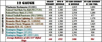 shotgun slugs 20 gauge vs 12 gauge part 2