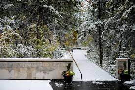 If you have any poems that have been of consolation that you'd like to share, i'd encourage you to paste them or link to them in a comment, with thanks. 10 Poems For Loss Grief Consolation Transactions With Beauty