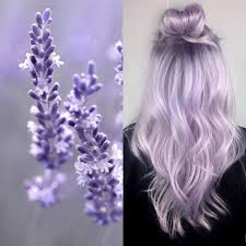 Most importantly, it will make you look like you are in your forties again. Evilhair Go Lavender White Use Our Go White Bundle 1x Go White Shampoo 1x Pastel Lavender White Colorconditioner To Tone Out Unwanted Yellow Tones And Keep Your Hair