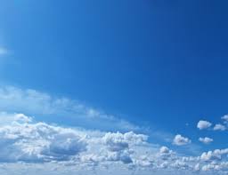 Sean Eugene Reilly Archives