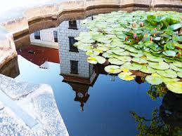 Je o devět procent vyšší než loni ve. Dovolena 2021 Trebonsko Jizni Cechy Dovolena V Cr V Penzionu Bontre