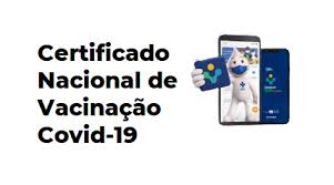 Apesar de ser possível obter este comprovativo logo após tomar uma dose da. Brasileiros Podem Emitir Certificado Nacional De Vacinacao Covid 19 Atraves Do Gov Br Cryptoid