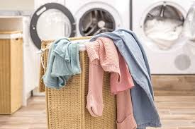 Reviews.nydailynews.com has been visited by 100k+ users in the past month 7 Best Laundry Sorters 2021 Reviews Oh So Spotless