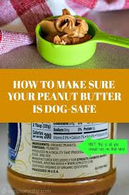 Homemade Peanut Butter Dog Treats Dog Food Recipes Peanut Butter Dog Treats Dog Biscuit Recipes
