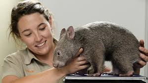 SnapSydney: Our beautiful city captured in your photographs