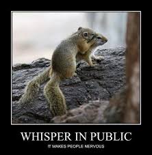 Whisper In Public Squirrel Funny Animals Chipmunks