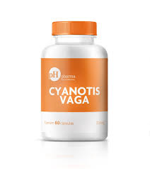 Image result for Cyanotis vaga