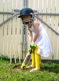 Butterflies Roses October 2008 Kids Playing Cricket Cute Pikachu