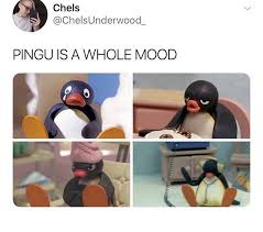 Pingu Is Just A Mood All Day Every Day Yooo Loool Quotes Pingu Twitter Pingu Memes Funny Relatable Memes Stupid Funny Memes