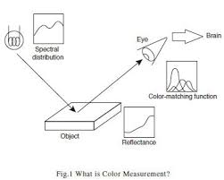 Colors are the way our brain, through our eyes, interprets electromagnetic radiation of a wavelength within the visible spectrum. Color Measurement Shimadzu Shimadzu Corporation
