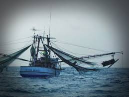 A conversation with aaron rahsaan thomas on 's.w.a.t' and his hope for hollywood natalie daniels 2020 2021 Shrimp Season Now Open In Mississippi As Of Thursday May 28 Wxxv News 25