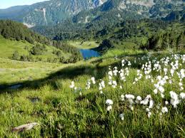 Llac De Rabassoles Donezan Natural Landmarks Nature Outdoor