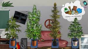 Weed firm 2 back to college mod apk is a new interactive game by thumbspire for all ages. Weed Firm 2 Bud Farm Tycoon Apk 3 0 47 Download For Android Download Weed Firm 2 Bud Farm Tycoon Apk Latest Version Apkfab Com