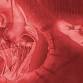 Interventional Cardiology Review Course for Boards and Recertification