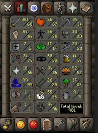 There are currently twelve areas that have an achievement diary. Osrs Amazing Pure Account Guide 99 Mage 94hunt 70 Range 1 Prayer Quested 1815035337