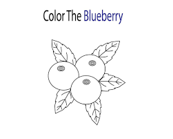 Blueberry Coloring Pages Coloring Pages Free Coloring Pages Color