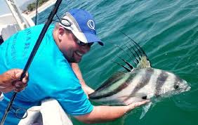 The fisherman refuses, giving as his reason that every little amount helps and that it is stupid to give up a present advantage for an uncertain future gain. Fishing Is Life Picture Of Villa Lili Puerto Escondido Tripadvisor