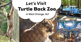 Turtle back zoo, consistently ranked as the best zoo in new jersey state, has rebuilt the main entrance to the public space, and worked with mccann systems to give the front of the zoo a modern upgrade and encourage more patron interaction. A Review Of The Turtle Back Zoo Classic New Jersey Day Trips The Jersey Momma