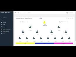 Binary Mlm Software Php Sourcecode Youtube