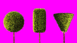 Most popular pubic hair styles. Women With Natural Pubic Hair Explain Why They Don T Wax Women With Full Bush
