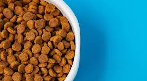 Are there any recalls on nutro dog food? American Journey Vs Nutro Comparing Two Popular Brands