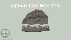 Knitted hats & beanies gloves scarves & snoods jewellery fitness equipment shoe care & insoles sunglasses watches scooters & skateboards brands shop all brands adidas originals adidas nike calvin klein champion converse ea7 ellesse fila gym king juicy couture Wolf Conservation Center On Twitter Keep Warm And Show Your Support For Wolves With A Beautiful Knitted Hat Made With Predator Friendly Wool Shop Here Https T Co Dvqq97lexp Https T Co B9yzb5x8fs