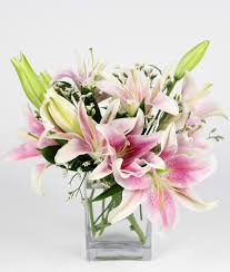 We did not find results for: Perfect Pink Lily Posey In Saint Paul Mn Iron Violets Design Studio