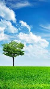 تحميل خلفيات موبايل ايفون mobile phone wallpapers full hd green nature wallpaper hd nature wallpapers beautiful nature pictures