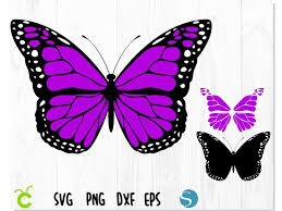 Download Butterfly Layered Svg Violet Orange By Creative Studio On Zibbet